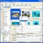 Arles Image Web Page Creator