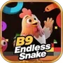 B9Endless Snake