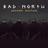 Bad North: Jotunn Edition