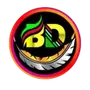 BD NET VPN - DNSEros Plugin