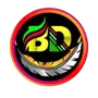 BD NET VPN