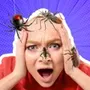Beebug: Insect Prank Filters