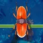 Beetle Parking Match