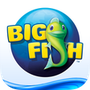 Big Fish Games App