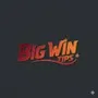 Big Wins Tips
