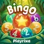 Bingo Playrixa