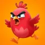 Bird Match Escape