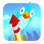 Bird Strike