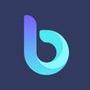 BitDynamic:Real-Time Translate