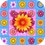 Bloom Cascade