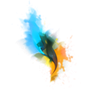 Bloom Image Viewer