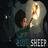 Blue Sheep
