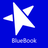 Bluebook