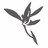 Blumind