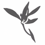 Blumind