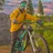 BMX Cycle Stunt Riding Game