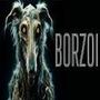 BORZOI