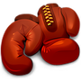 Boxer