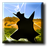 Broken Vista Desert Wallpaper