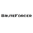 BruteForcer