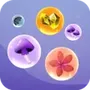 BubbleBloom Merge