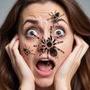 Bug Filter: AR Spider Prank
