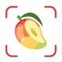 Calorie Counter - Meal Tracker