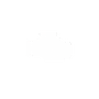 Car Scanner Pro