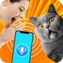 Cat translator - Meow language