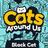 Cats Around Us: Black Cat