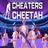 Cheaters Cheetah