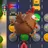 Chicken Crossing: Mystery Path