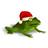 Christmas Super Frog