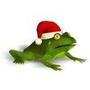 Christmas Super Frog
