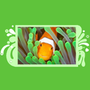 Clownfish