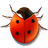 Coccinella