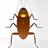 Cockroach on Desktop