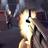 Combat 3