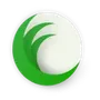 commodityonline: Mandi Bhav