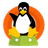 Complete Linux Installer