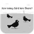 Count Bird Box: Brain Train