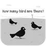 Count Bird Box: Brain Train