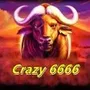 Crazy 6666