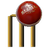 Cricket 3D