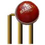 Cricket 3D