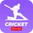 Cricket Pulse: Scores Stats