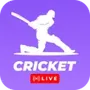 Cricket Pulse: Scores Stats