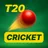 Cricket T20 Insight
