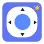 Crown TV Remote