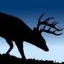 Cuddeback